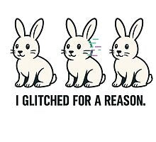 I Glitched for a Reason