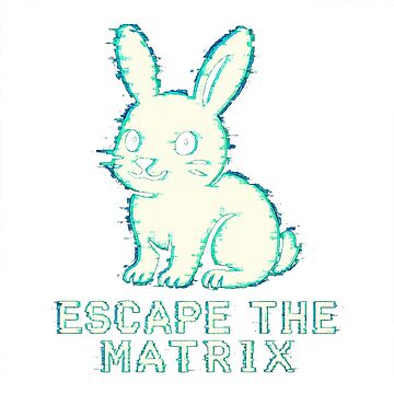 Escape the Matrix Bunny